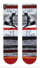 YsYkvJsSIW2SvmuSpabn_Merge4_Dave_Nelson_Seal_Lite_Classic_Crew_Socks_a7b127d3-2fa4-411d-ba5c-94e3799ef917.jpg